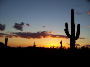 Sweet Arizona Sunsets